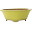 Pot à bonsaï rond jaune de Gyouzan - 315 x 315 x 110 mm
