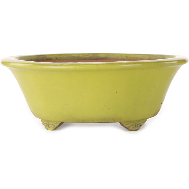 Runder gelber Bonsai-Topf von Gyouzan – 315 x 315 x 110 mm