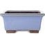 Maceta cuadrada azul para bonsái de Yamaaki - 238 x 238 x 105 mm