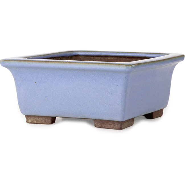 Pot à bonsaï carré bleu de Yamaaki - 238 x 238 x 105 mm