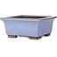 Maceta cuadrada azul para bonsái de Yamaaki - 238 x 238 x 105 mm
