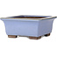 Square blue bonsai pot by Yamaaki - 238 x 238 x 105 mm