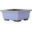 Maceta cuadrada azul para bonsái de Yamaaki - 238 x 238 x 105 mm
