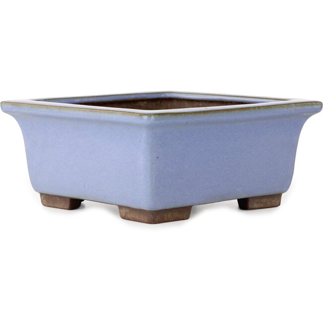 Square blue bonsai pot by Yamaaki - 238 x 238 x 105 mm