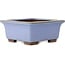 Maceta cuadrada azul para bonsái de Yamaaki - 238 x 238 x 105 mm