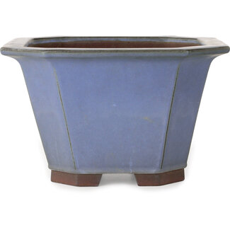  Yamaaki Maceta para bonsái azul cuadrada de 320 mm de Yamaaki, Tokoname, Japón
