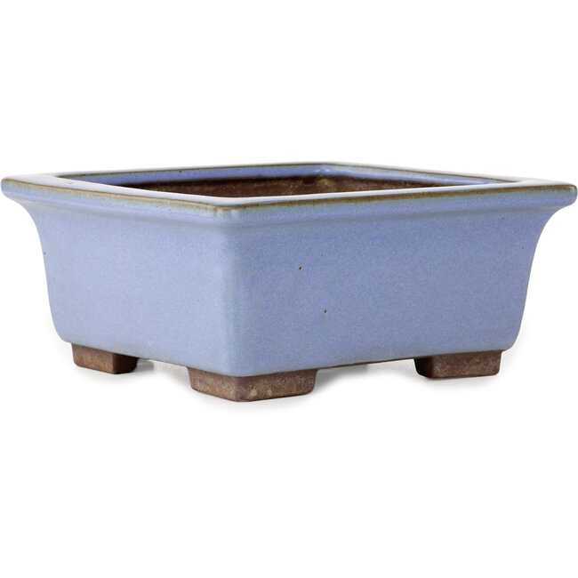 Quadratischer blauer Bonsai-Topf von Yamaaki – 238 x 238 x 105 mm