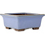 Square blue bonsai pot by Yamaaki - 238 x 238 x 105 mm