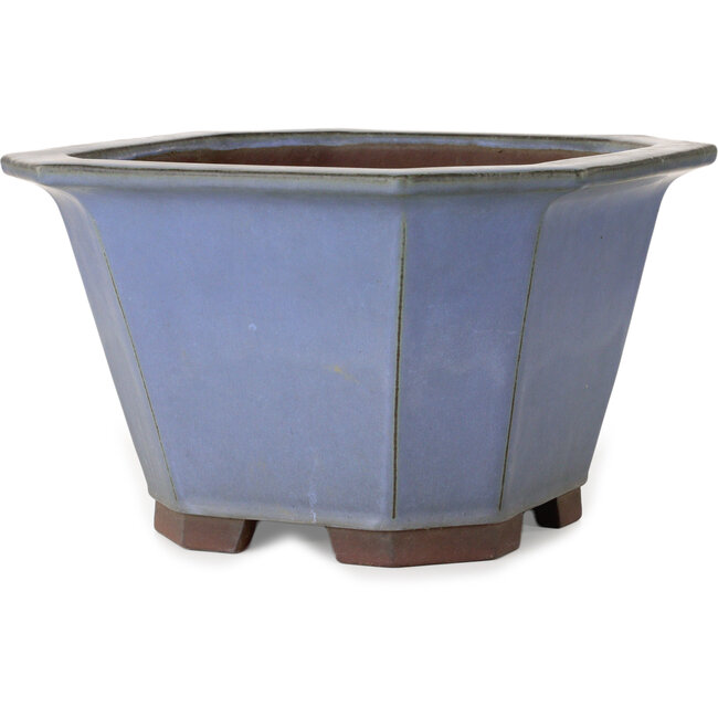 Maceta cuadrada azul para bonsái de Yamaaki - 320 x 320 x 195 mm