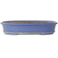 Ovaler blauer Bonsai-Topf von Shuhou – 385 x 305 x 75 mm