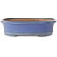 Maceta ovalada azul para bonsái de Shuhou - 385 x 305 x 75 mm