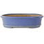 Vaso bonsai ovale blu di Shuhou - 385 x 305 x 75 mm