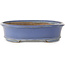 Pot ovale bleu pour bonsaï de Shuhou - 385 x 305 x 75 mm