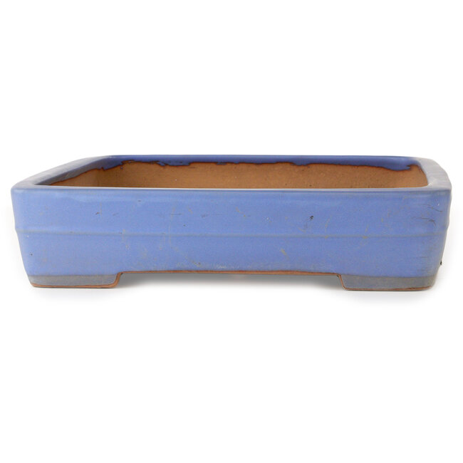 Rechteckiger blauer Bonsai-Topf von Yamafusa – 473 x 332 x 72 mm