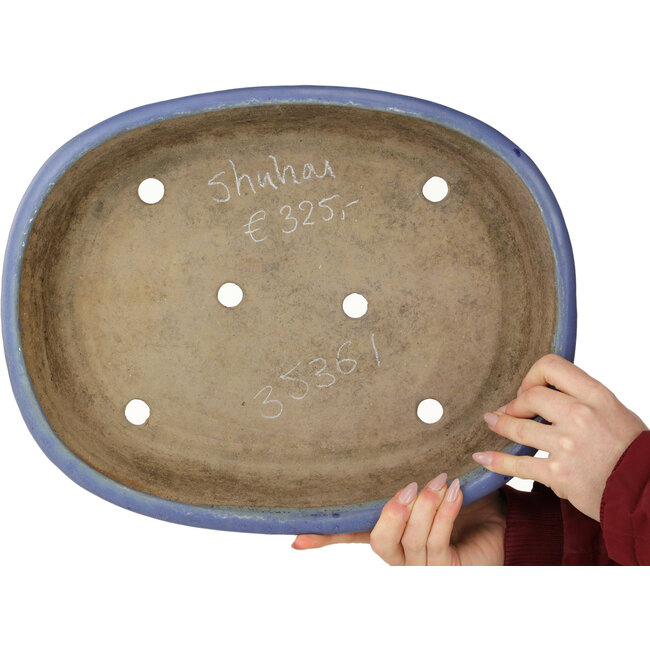 Maceta ovalada azul para bonsái de Shuhou - 385 x 305 x 75 mm