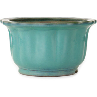  Yamaaki 305 mm lotus turquoise bonsai pot by Yamaaki, Tokoname, Japan