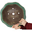 Lotusgroene bonsaipot van Yamaaki - 355 x 355 x 137 mm