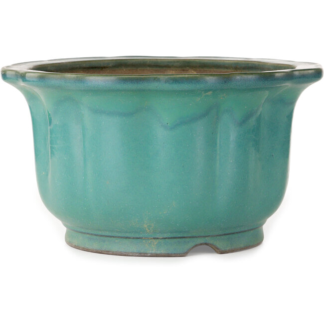 Vaso bonsai Lotus turchese di Yamaaki - 305 x 305 x 172 mm