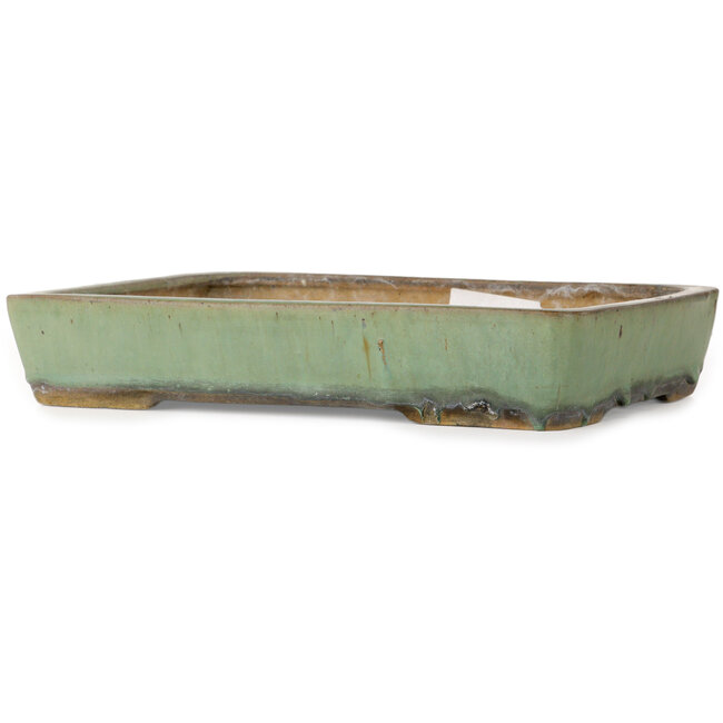 Rectangular green bonsai pot by Nakawatari - 315 x 223 x 55 mm