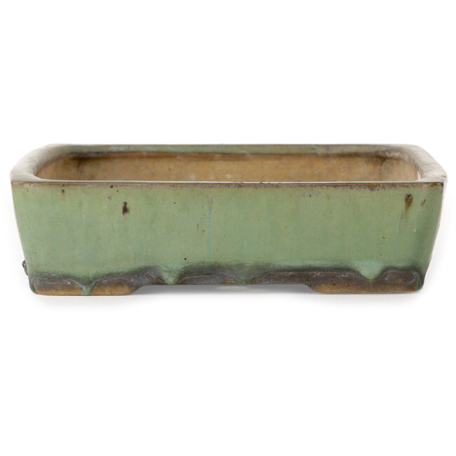 Rectangular green bonsai pot by Nakawatari - 315 x 223 x 55 mm