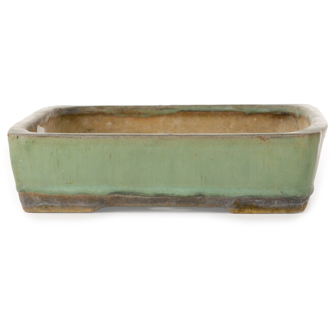 Maceta rectangular verde para bonsái de Nakawatari - 315 x 223 x 55 mm