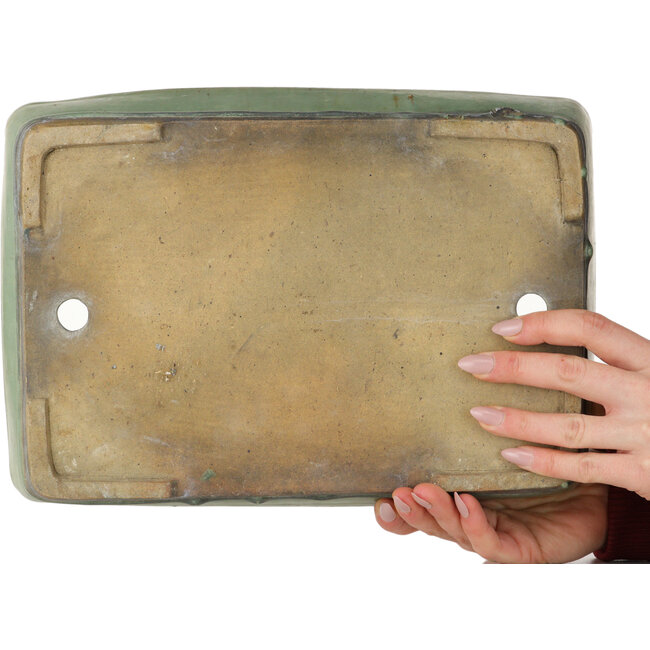 Pot à bonsaï rectangulaire vert de Nakawatari - 315 x 223 x 55 mm