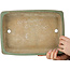 Rectangular green bonsai pot by Nakawatari - 315 x 223 x 55 mm