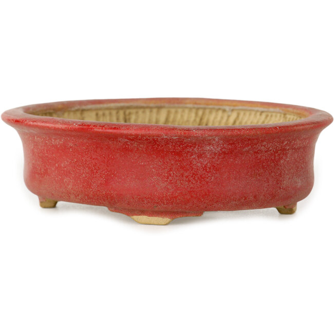 Vaso bonsai ovale rosso di Horie Bikoh - 114 x 100 x 33 mm