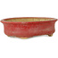 Maceta ovalada roja para bonsái de Horie Bikoh - 114 x 100 x 33 mm