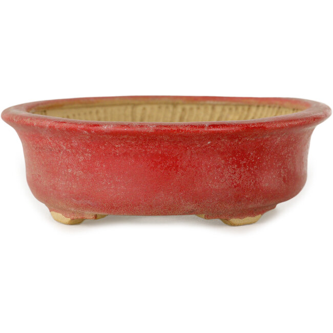 Vaso bonsai ovale rosso di Horie Bikoh - 114 x 100 x 33 mm