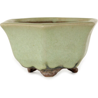 Heian Chikuzan 110 mm zeshoekige groene craquelé bonsaipot van Heian Kozan, Kyoto, Japan