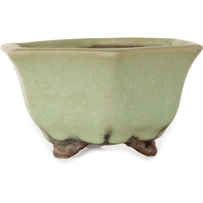 Maceta hexagonal para bonsái craquelé verde de Heian Kozan - 110 x 110 x 58 mm