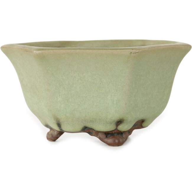 Maceta hexagonal para bonsái craquelé verde de Heian Kozan - 110 x 110 x 58 mm