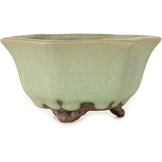 Maceta hexagonal para bonsái craquelé verde de Heian Kozan - 110 x 110 x 58 mm