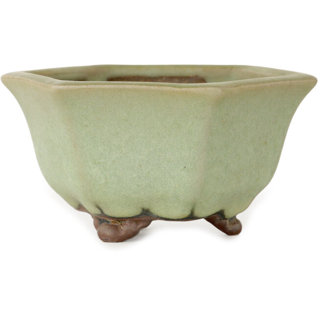 Zeshoekige groene craquelé bonsaipot van Heian Kozan - 110 x 110 x 58 mm