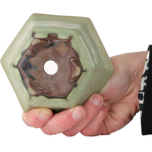 Vaso bonsai esagonale verde craquelé di Heian Kozan - 110 x 110 x 58 mm