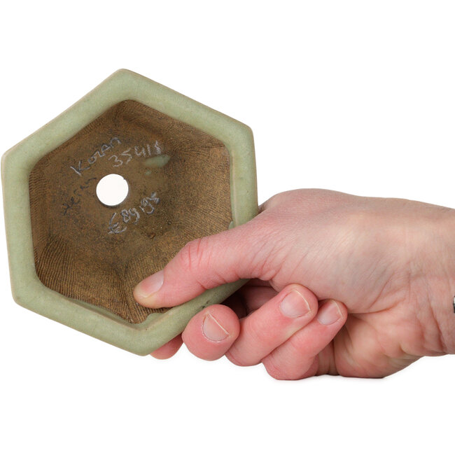 Vaso bonsai esagonale verde craquelé di Heian Kozan - 110 x 110 x 58 mm