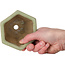 Zeshoekige groene craquelé bonsaipot van Heian Kozan - 110 x 110 x 58 mm