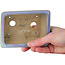 Maceta rectangular azul para bonsái de Bigei - 123 x 95 x 38 mm