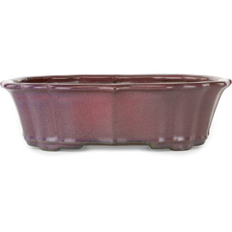  Tosui 252 mm lotus bonsai pot in bordeauxrood van Tosui, Japan