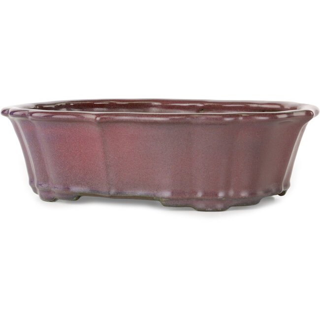 Lotus burgundy bonsai pot by Tosui - 252 x 195 x 73 mm