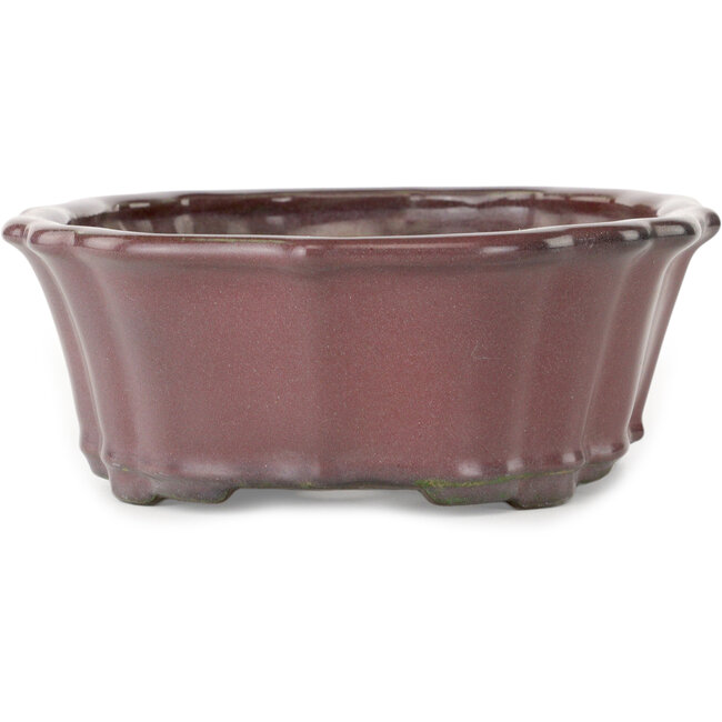 Lotus-Bonsaischale in Burgunderrot von Tosui – 252 x 195 x 73 mm