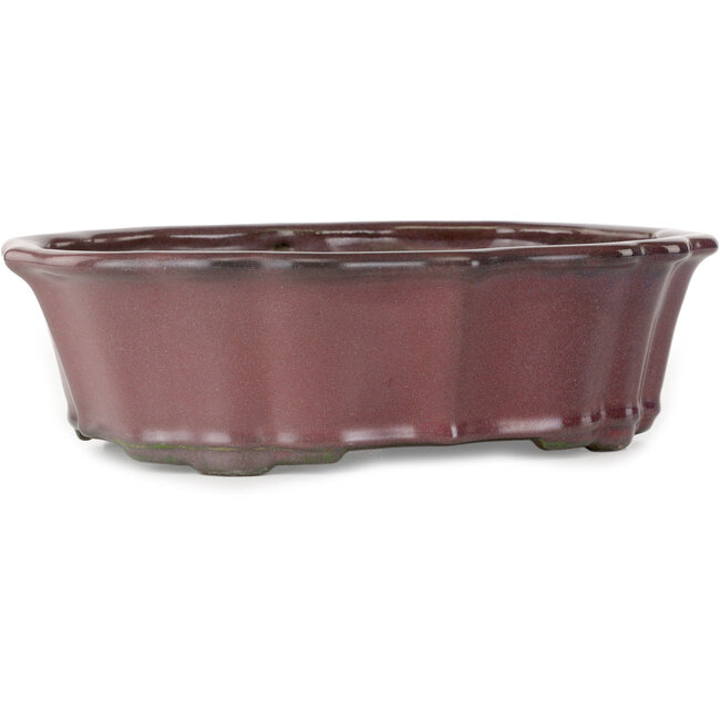 Vaso bonsai Lotus bordeaux di Tosui - 252 x 195 x 73 mm