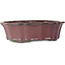 Vaso bonsai Lotus bordeaux di Tosui - 252 x 195 x 73 mm