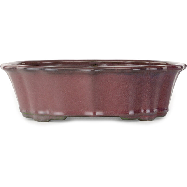 Lotus burgundy bonsai pot by Tosui - 252 x 195 x 73 mm