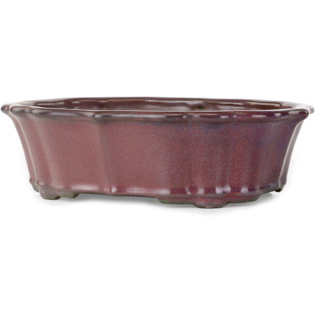 Lotus burgundy bonsai pot by Tosui - 252 x 195 x 73 mm