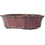Lotus burgundy bonsai pot by Tosui - 252 x 195 x 73 mm