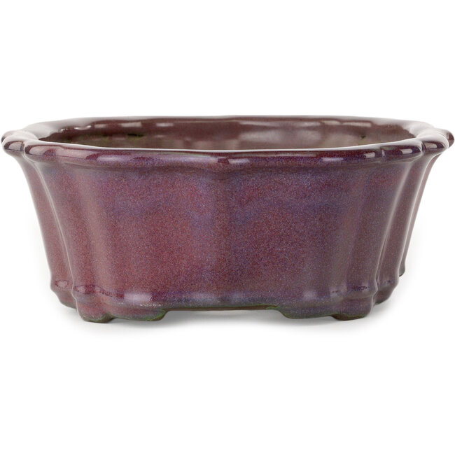 Vaso bonsai Lotus bordeaux di Tosui - 252 x 195 x 73 mm