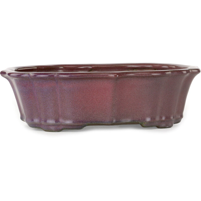 Vaso bonsai Lotus bordeaux di Tosui - 252 x 195 x 73 mm
