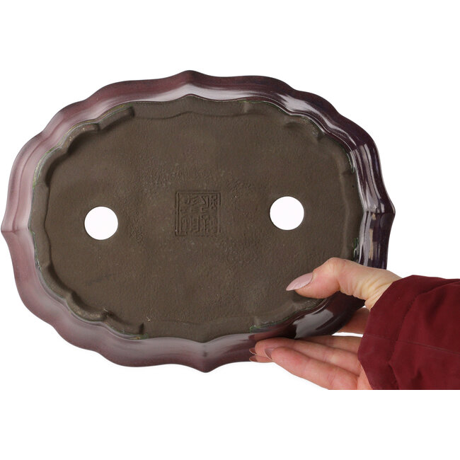 Maceta para bonsái Lotus color burdeos de Tosui - 252 x 195 x 73 mm